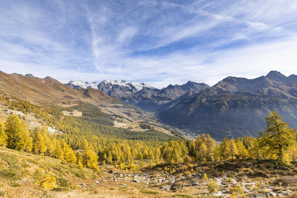 Walking up to Mount Zerbion: the Monte Rosa Massif (Antagnod, Ayas Valley, Aosta province, Aosta Valley, Italy, Europe)