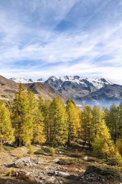 Walking up to Mount Zerbion: the Monte Rosa Massif (Antagnod, Ayas Valley, Aosta province, Aosta Valley, Italy, Europe)