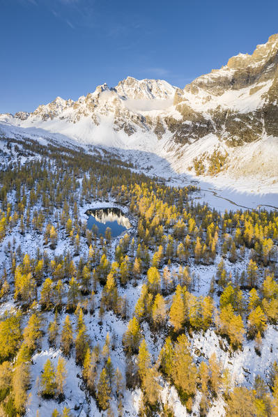 Aerial view of the Nero Lake and the Buscagna Valley in autumn (Alpe Devero, Alpe Veglia and Alpe Devero Natural Park, Baceno, Verbano Cusio Ossola province, Piedmont, Italy, Europe)