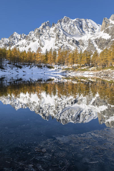 Snowy mountains reflected in the Nero Lake in autumn (Buscagna Valley, Alpe Devero, Alpe Veglia and Alpe Devero Natural Park, Baceno, Verbano Cusio Ossola province, Piedmont, Italy, Europe)