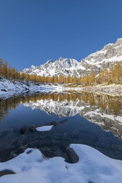 Snowy mountains reflected in the Nero Lake in autumn (Buscagna Valley, Alpe Devero, Alpe Veglia and Alpe Devero Natural Park, Baceno, Verbano Cusio Ossola province, Piedmont, Italy, Europe)