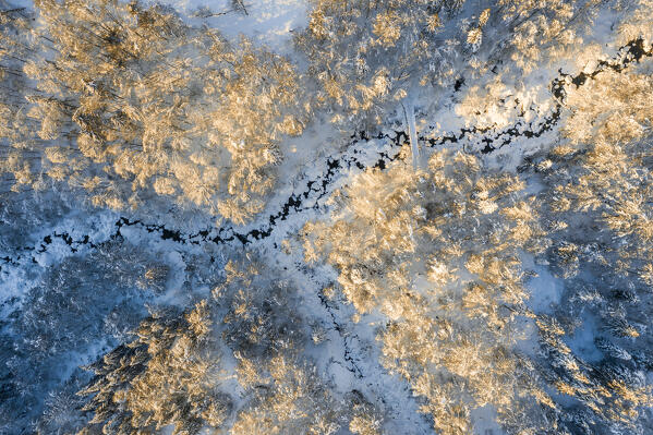 Aerial view of a brook and a wood in the mountains of Biella after an heavy snowfall at sunrise (Oropa, Biella province, Piedmont, Italy, Europe)