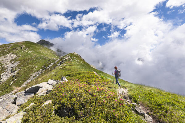 A girl is walking along the Alta Via n. 1 of Aosta Valley towards the Coda Refuge (Pollone, Biella province, Piedmont, Italy, Europe) (MR)