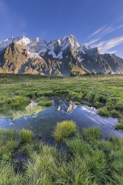 The Grandes Jorasses at sunrise (Alp Lechey, Ferret Valley, Courmayeur, Aosta province, Aosta Valley, Italy, Europe)