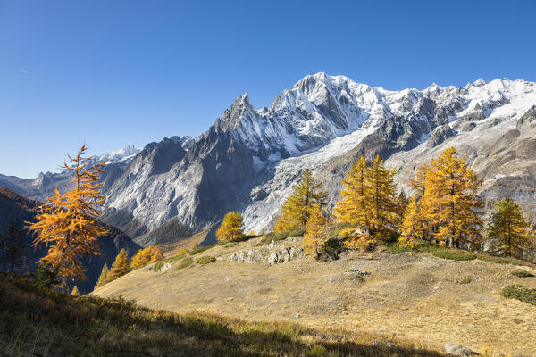 A view of the Mont Blanc Massif from the path to the Bertone Refuge during the Mont Blanc hiking tours (Ferret Valley, Courmayeur, Aosta province, Aosta Valley, Italy, Europe)