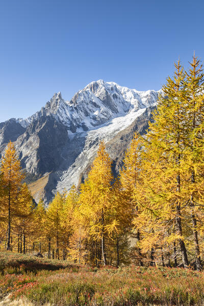 A view of the Mont Blanc Massif from the path to the Bertone Refuge during the Mont Blanc hiking tours (Ferret Valley, Courmayeur, Aosta province, Aosta Valley, Italy, Europe)