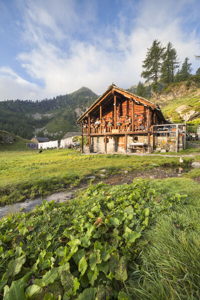 Alpe Larecchio, Vogna Valley (Alagna, Valsesia, Vercelli province, Piedmont, Italy, Europe)