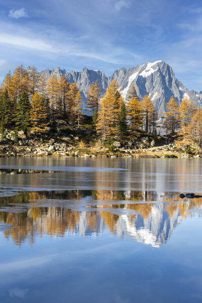 The Grandes Jorasses is reflected in the frozen Lake of Arpy in autumn season (Morgex, Aosta province, Aosta Valley, Italy, Europe)