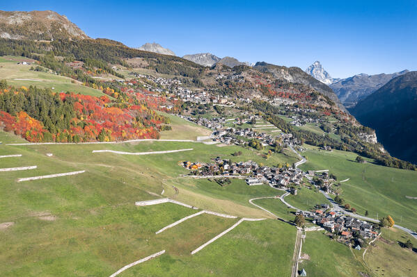 Aerial view of Torgnon village in autumn (Valtournenche Valley, Aosta province, Aosta Valley, Italy, Europe)