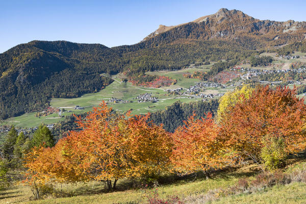 Torgnon village in autumn from Lod (Antey-Saint-André, Valtournenche Valley, Aosta province, Aosta Valley, Italy, Europe)