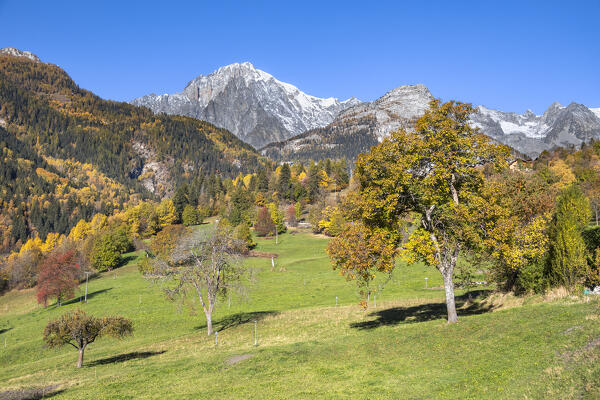 The Mont Blanc from the little village of Palleusieux (Pré Saint Didier, Aosta province, Aosta Valley, Italy, Europe)