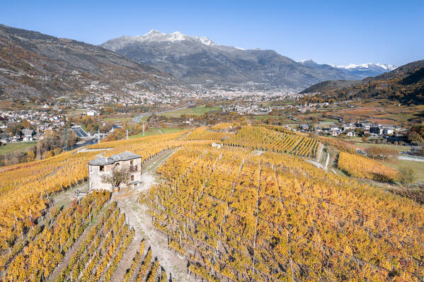 Vineyards in Aymavilles and the city of Aosta (Aosta province, Aosta Valley, Italy, Europe)