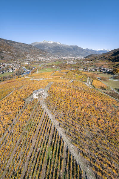 Vineyards in Aymavilles and the city of Aosta (Aosta province, Aosta Valley, Italy, Europe)