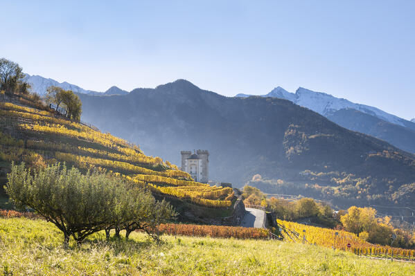 The Castle of Aymavilles surrounded by vineyards (Aymavilles, Aosta province, Aosta Valley, Italy, Europe)