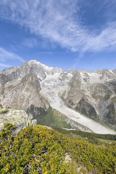 The Mont Blanc view from Mont Chétif (Veny Valley, Courmayeur, Aosta province, Aosta Valley, Italy, Europe)