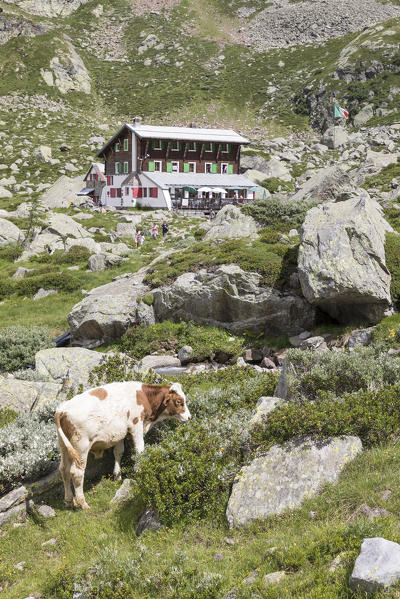 The Zamboni Zappa refuge at the foot of the East face of Monte Rosa Massif (Macugnaga, Anzasca Valley, Verbano Cusio Ossola province, Piedmont, Italy, Europe)