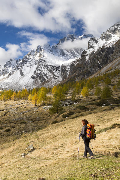 A girls walks in Buscagna Valley (Alpe Devero, Alpe Veglia and Alpe Devero Natural Park, Baceno, Verbano Cusio Ossola province, Piedmont, Italy, Europe)