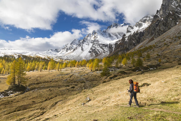 A girls walks in Buscagna Valley (Alpe Devero, Alpe Veglia and Alpe Devero Natural Park, Baceno, Verbano Cusio Ossola province, Piedmont, Italy, Europe)