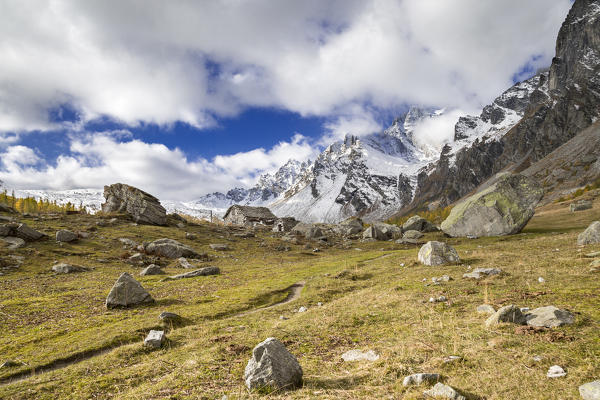 The Alpe Buscagna in autumn season (Buscagna Valley, Alpe Devero, Alpe Veglia and Alpe Devero Natural Park, Baceno, Verbano Cusio Ossola province, Piedmont, Italy, Europe)