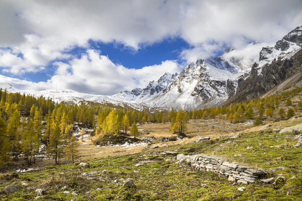 Panoramic view on the Buscagna Valley in autumn season (Alpe Buscagna, Alpe Devero, Alpe Veglia and Alpe Devero Natural Park, Baceno, Verbano Cusio Ossola province, Piedmont, Italy, Europe)