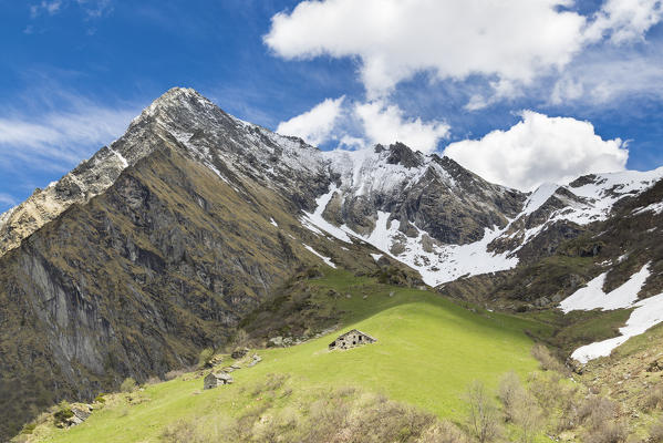 View of the Monte Tagliaferro and the Campo Alp (Alagna Valsesia, Valsesia, Vercelli province, Piedmont, Italy, Europe)