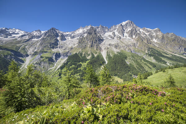 View of the Mont Blanc Massif and the Grandes Jorasses (Alp Lechey, Ferret Valley, Courmayeur, Aosta province, Aosta Valley, Italy, Europe)