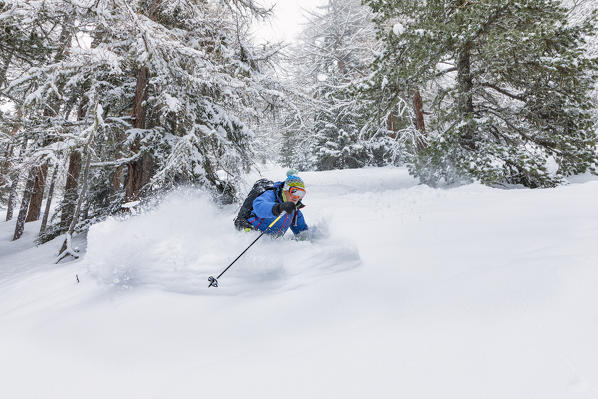 Freeride skier in Aosta Valley (Rhemes-Notre-Dame, Rhemes Valley, Aosta province, Aosta Valley, Italy, Europe) (MR)