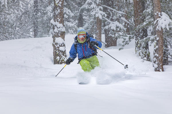 Freeride skier in Aosta Valley (Rhemes-Notre-Dame, Rhemes Valley, Aosta province, Aosta Valley, Italy, Europe) (MR)