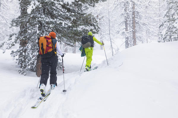 Ski touring in Aosta Valley (Rhemes-Notre-Dame, Rhemes Valley, Aosta province, Aosta Valley, Italy, Europe) (MR)