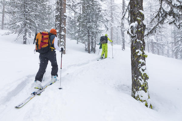 Ski touring in Aosta Valley (Rhemes-Notre-Dame, Rhemes Valley, Aosta province, Aosta Valley, Italy, Europe) (MR)