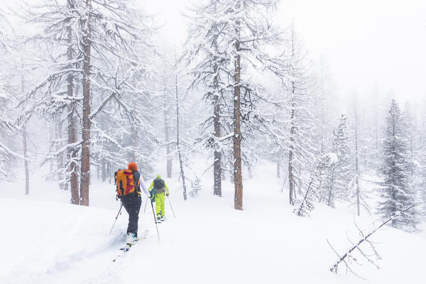 Ski touring in Aosta Valley (Rhemes-Notre-Dame, Rhemes Valley, Aosta province, Aosta Valley, Italy, Europe) (MR)