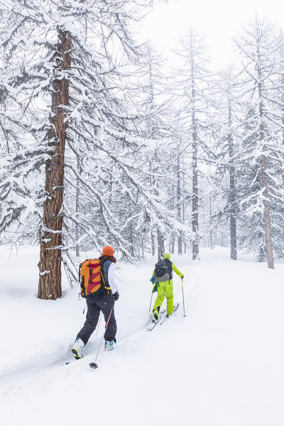 Ski touring in Aosta Valley (Rhemes-Notre-Dame, Rhemes Valley, Aosta province, Aosta Valley, Italy, Europe) (MR)