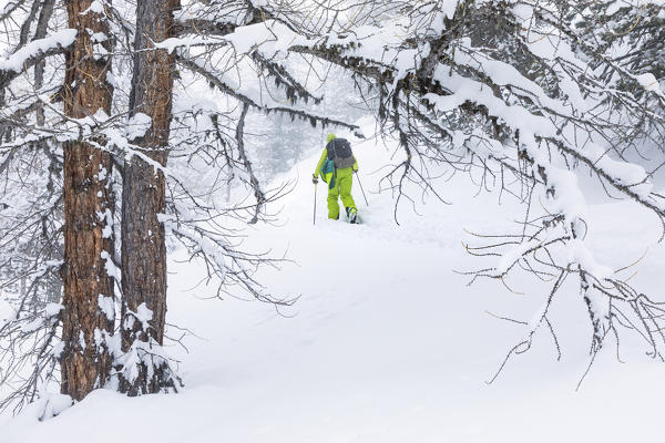 Ski touring in Aosta Valley (Rhemes-Notre-Dame, Rhemes Valley, Aosta province, Aosta Valley, Italy, Europe) (MR)