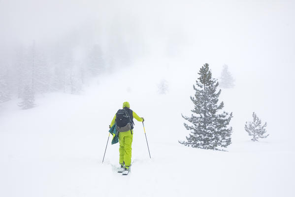 Ski touring in Aosta Valley (Rhemes-Notre-Dame, Rhemes Valley, Aosta province, Aosta Valley, Italy, Europe) (MR)