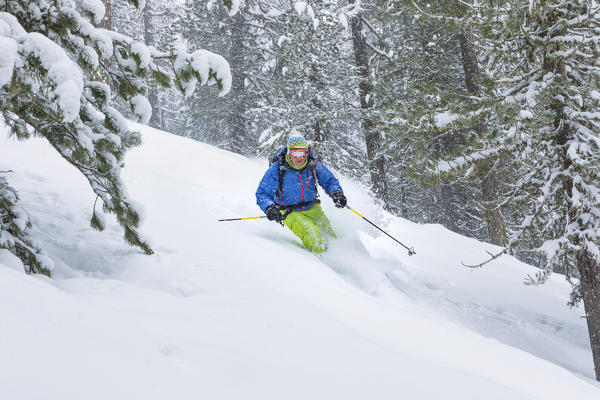 Freeride skier in Aosta Valley, Gran Paradiso Natural Park (Rhemes-Notre-Dame, Rhemes Valley, Aosta province, Aosta Valley, Italy, Europe) (MR)