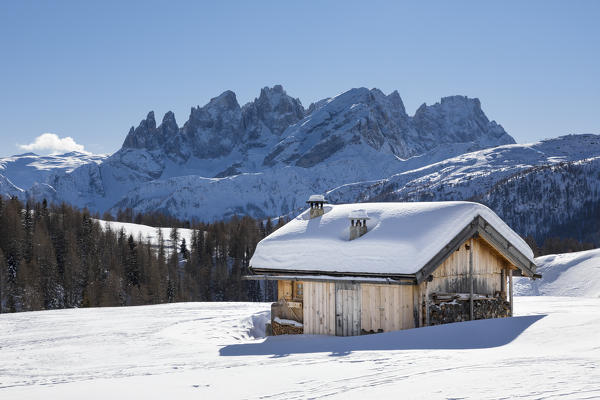 View on the Pale Group (Pale di San Martino) from the small village called Fuciade in San Pellegrino Pass (Soraga di Fassa, Biois Valley, Trento province, Trentino-Alto Adige, Italy, Europe)