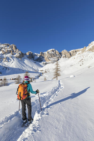 A trekker is looking at Fuciace, a small village in Dolomites near San Pellegrino Pass (Soraga di Fassa, Biois Valley, Trento province, Trentino-Alto Adige, Italy, Europe) (MR)