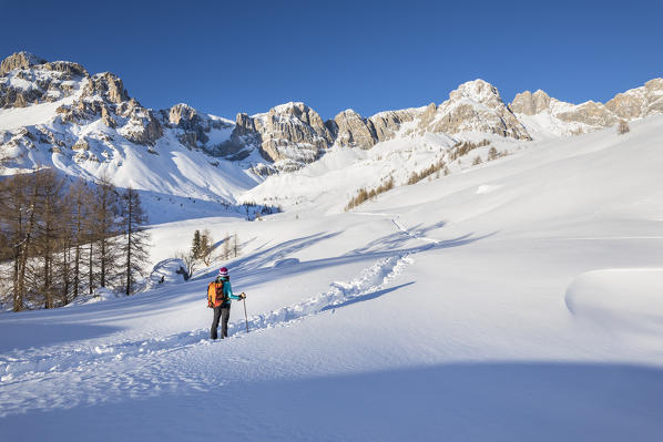 A trekker is looking at mountains in Dolomites near San Pellegrino Pass (Soraga di Fassa, Biois Valley, Trento province, Trentino-Alto Adige, Italy, Europe) (MR)