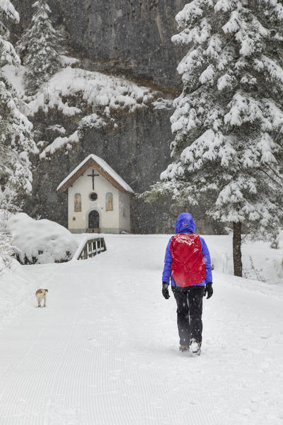 A girl is walking inside the Sottoguda Serrai Gorge at the foot of Marmolada (Sottoguda, Rocca Pietore, Belluno province, Veneto, Italy, Europe) (MR)