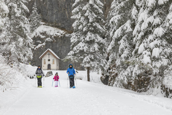 A family is walking inside the Sottoguda Serrai Gorge at the foot of Marmolada (Sottoguda, Rocca Pietore, Belluno province, Veneto, Italy, Europe)