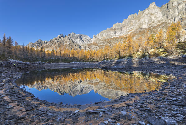 The Nero Lake in autumn immediately after the sunrise (Buscagna Valley, Alpe Devero, Alpe Veglia and Alpe Devero Natural Park, Baceno, Verbano Cusio Ossola province, Piedmont, Italy, Europe)