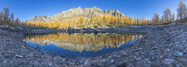 A panoramic view of the Nero Lake in autumn immediately after the sunrise (Buscagna Valley, Alpe Devero, Alpe Veglia and Alpe Devero Natural Park, Baceno, Verbano Cusio Ossola province, Piedmont, Italy, Europe)