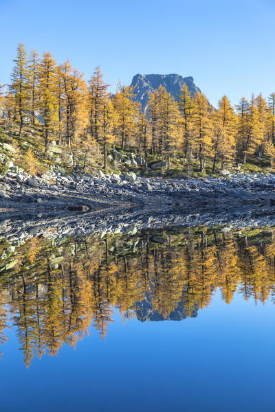 The Crampiolo Peak is reflected in the Nero Lake in autumn (Buscagna Valley, Alpe Devero, Alpe Veglia and Alpe Devero Natural Park, Baceno, Verbano Cusio Ossola province, Piedmont, Italy, Europe)