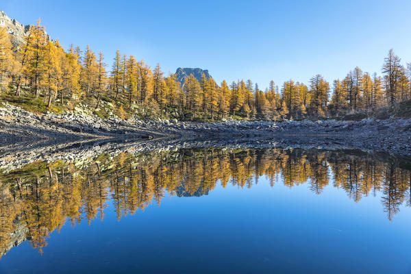 The Crampiolo Peak is reflected in the Nero Lake in autumn (Buscagna Valley, Alpe Devero, Alpe Veglia and Alpe Devero Natural Park, Baceno, Verbano Cusio Ossola province, Piedmont, Italy, Europe)