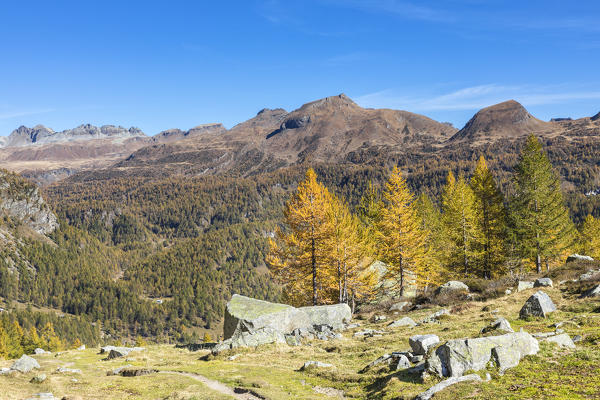 View of the Alpe Veglia and Alpe Devero Natural Park in autumn season from the Buscagna Valley (Alpe Devero, Baceno, Verbano Cusio Ossola province, Piedmont, Italy, Europe)