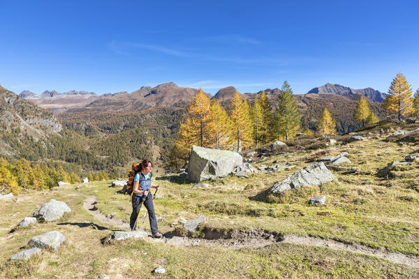 A girl is walking in the Alpe Veglia and Alpe Devero Natural Park in autumn season (Buscagna Valley, Alpe Devero, Baceno, Verbano Cusio Ossola province, Piedmont, Italy, Europe) (MR)
