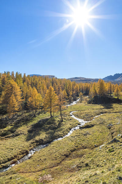 View of the Buscagna Valley in autumn season from the Alpe Buscagna (Alpe Devero, Alpe Veglia and Alpe Devero Natural Park, Baceno, Verbano Cusio Ossola province, Piedmont, Italy, Europe)
