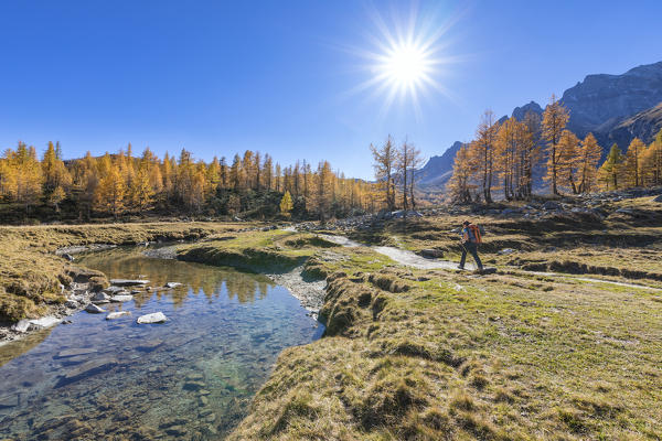 A girl is walking in the Alpe Veglia and Alpe Devero Natural Park in autumn season (Buscagna Valley, Alpe Devero, Baceno, Verbano Cusio Ossola province, Piedmont, Italy, Europe) (MR)
