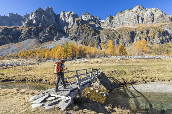 A girl is walking in the Alpe Veglia and Alpe Devero Natural Park in autumn season (Buscagna Valley, Alpe Devero, Baceno, Verbano Cusio Ossola province, Piedmont, Italy, Europe) (MR)