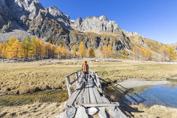 A girl is walking in the Alpe Veglia and Alpe Devero Natural Park in autumn season (Buscagna Valley, Alpe Devero, Baceno, Verbano Cusio Ossola province, Piedmont, Italy, Europe) (MR)
